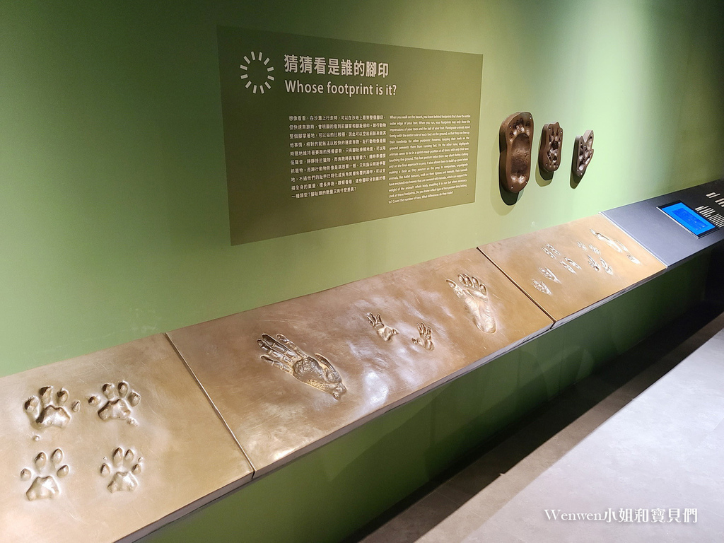 台北展覽推薦 科教館展覽推薦 找家Homing生物多樣性常設展 (27).jpg