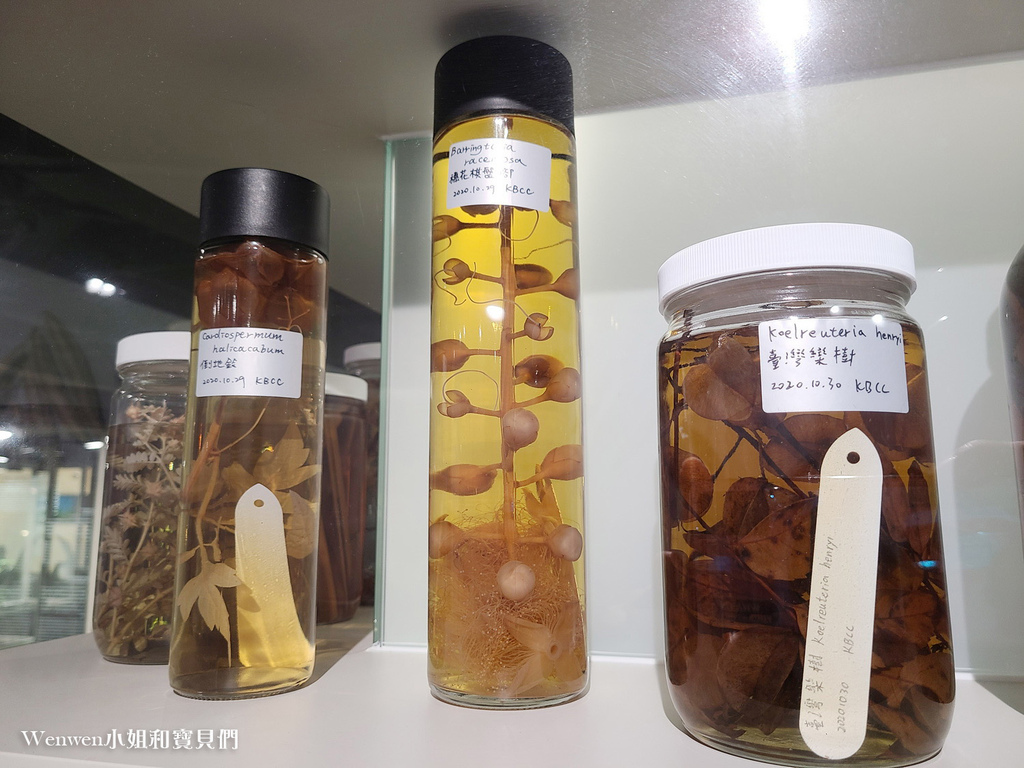 台北展覽推薦 科教館展覽推薦 找家Homing生物多樣性常設展 (34).jpg