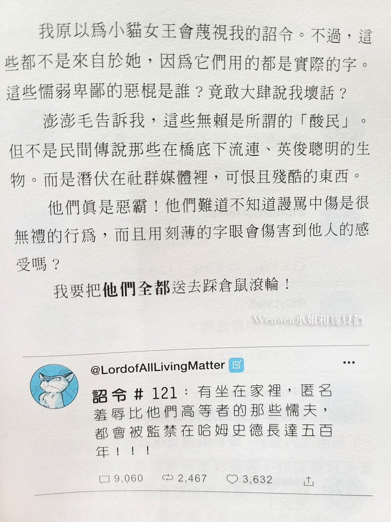 國小閱讀推薦邪惡貓大帝克勞德 (27).jpg