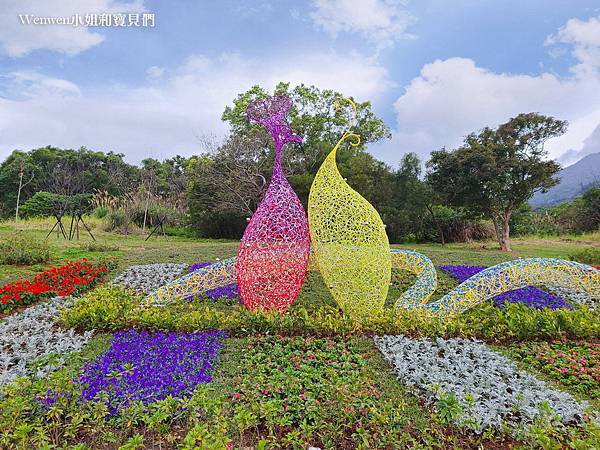 2023北投三層崎公園花海 (9).jpg