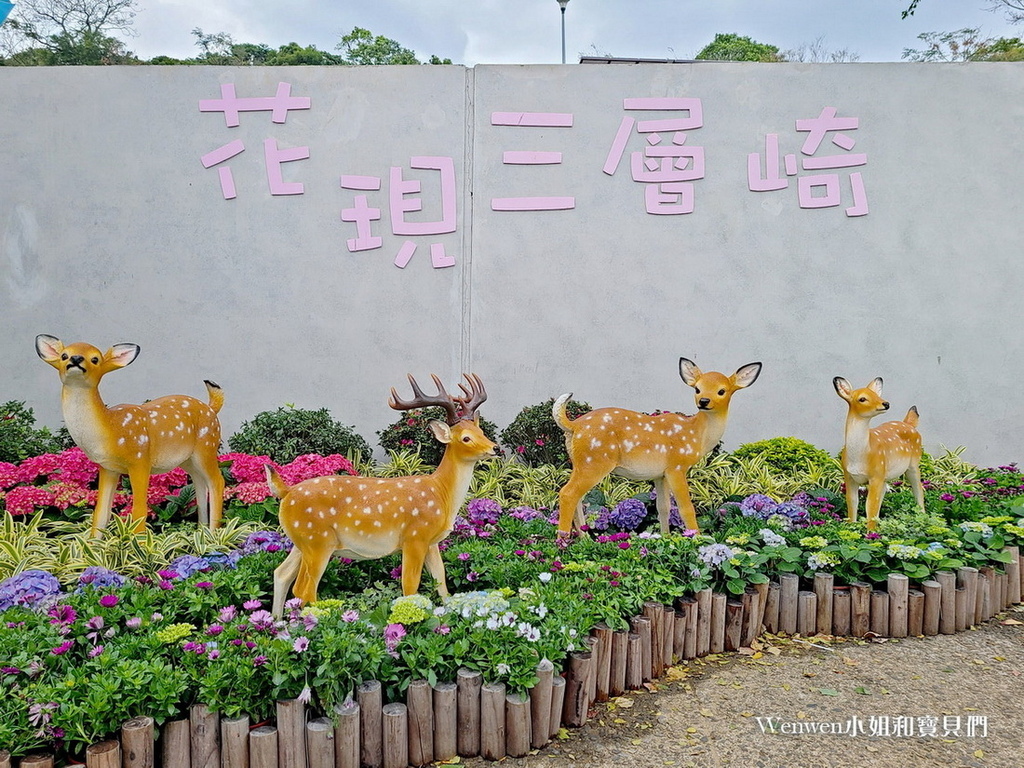 2023北投三層崎公園花海 (8).jpg