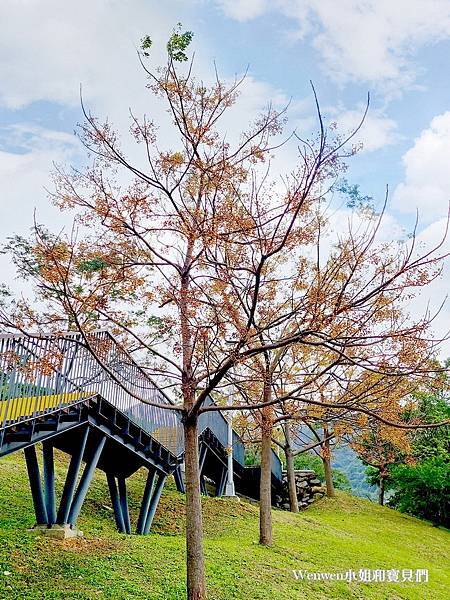 2023北投三層崎公園花海 (15).jpg