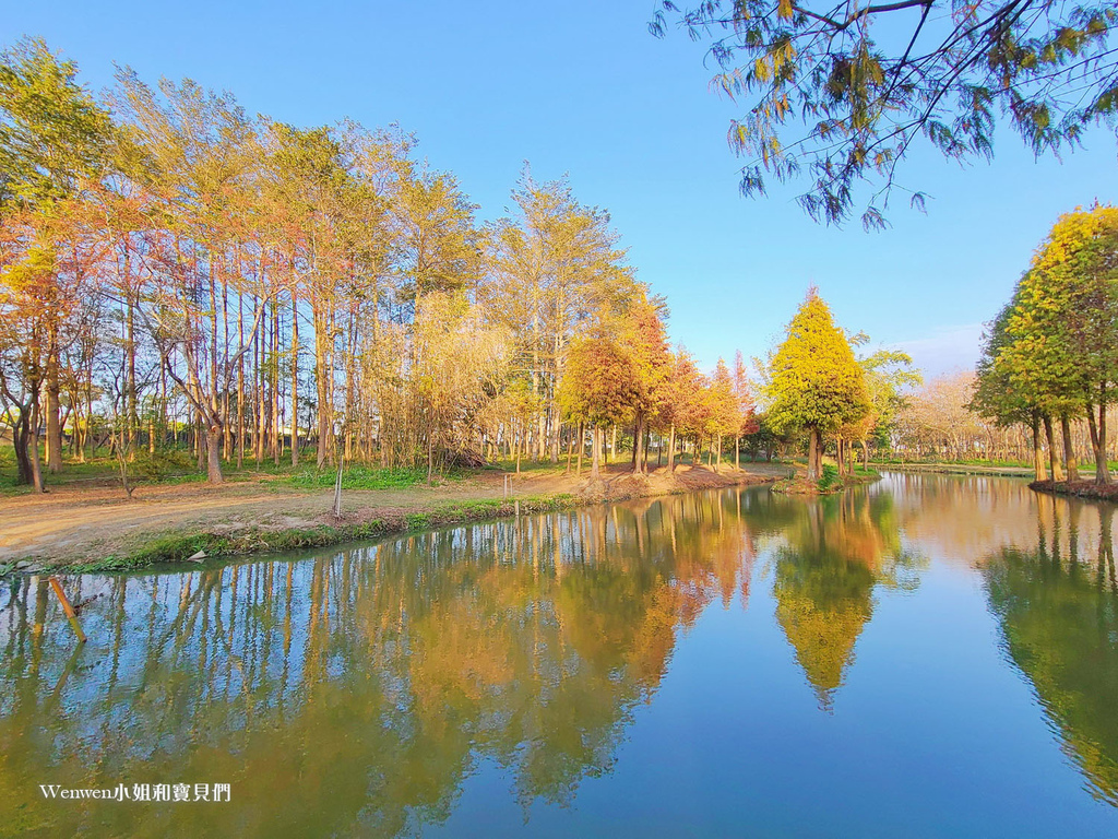 嘉義太保景點 魚寮遺址落羽松森林(6).jpg