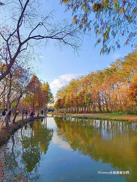 嘉義太保景點 魚寮遺址落羽松森林(10).jpg