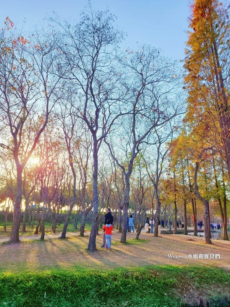 嘉義太保景點 魚寮遺址落羽松森林(12).jpg