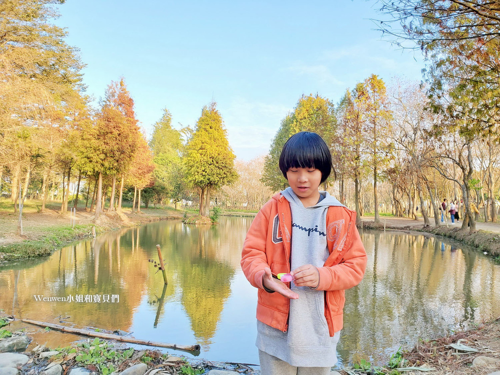 嘉義太保景點 魚寮遺址落羽松森林(14).jpg