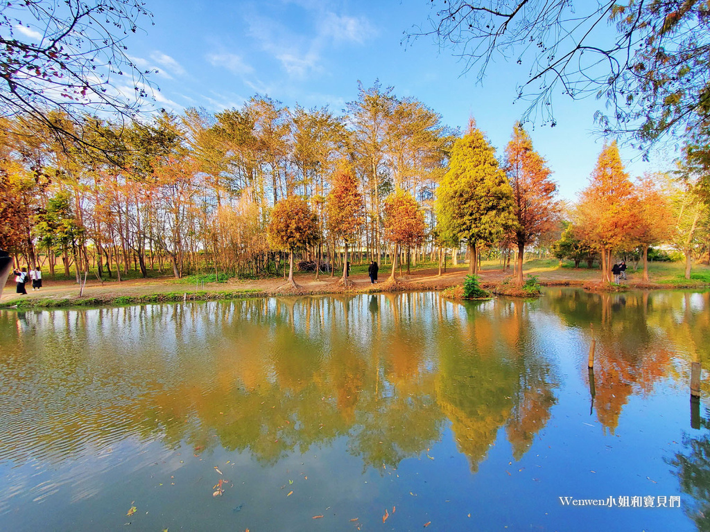 嘉義太保景點 魚寮遺址落羽松森林(13).jpg