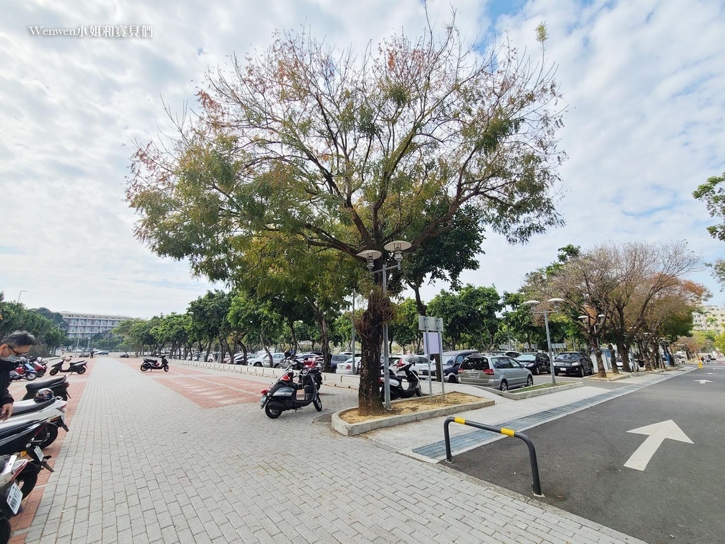 嘉義市立棒球場停車場 嘉義公園停車場 (1).jpg