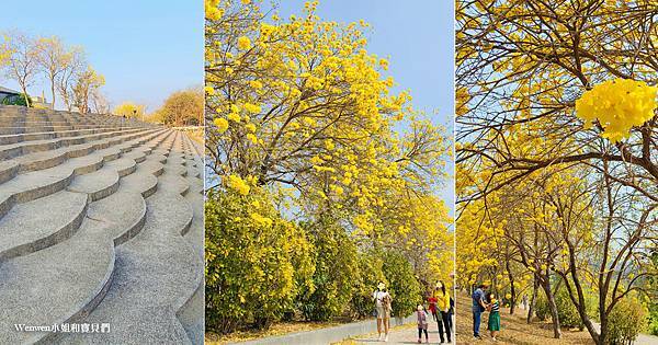 2023嘉義黃花風鈴木 八掌溪軍輝橋 中埔鄉忠義橋魚鱗階梯 (1).jpg