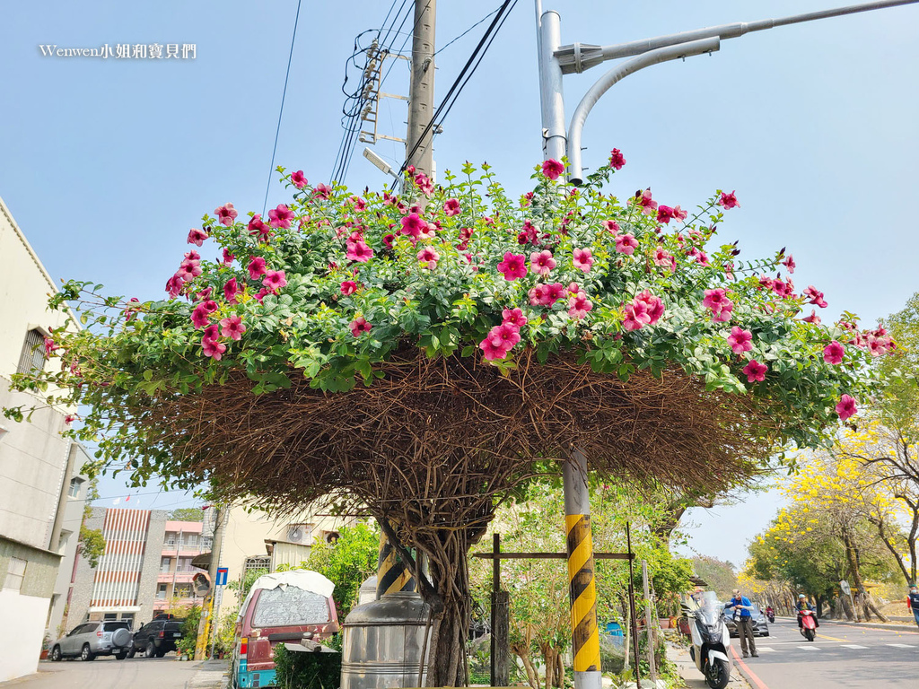 2023嘉義八掌溪 香菇造型紫蟬花 (1).jpg