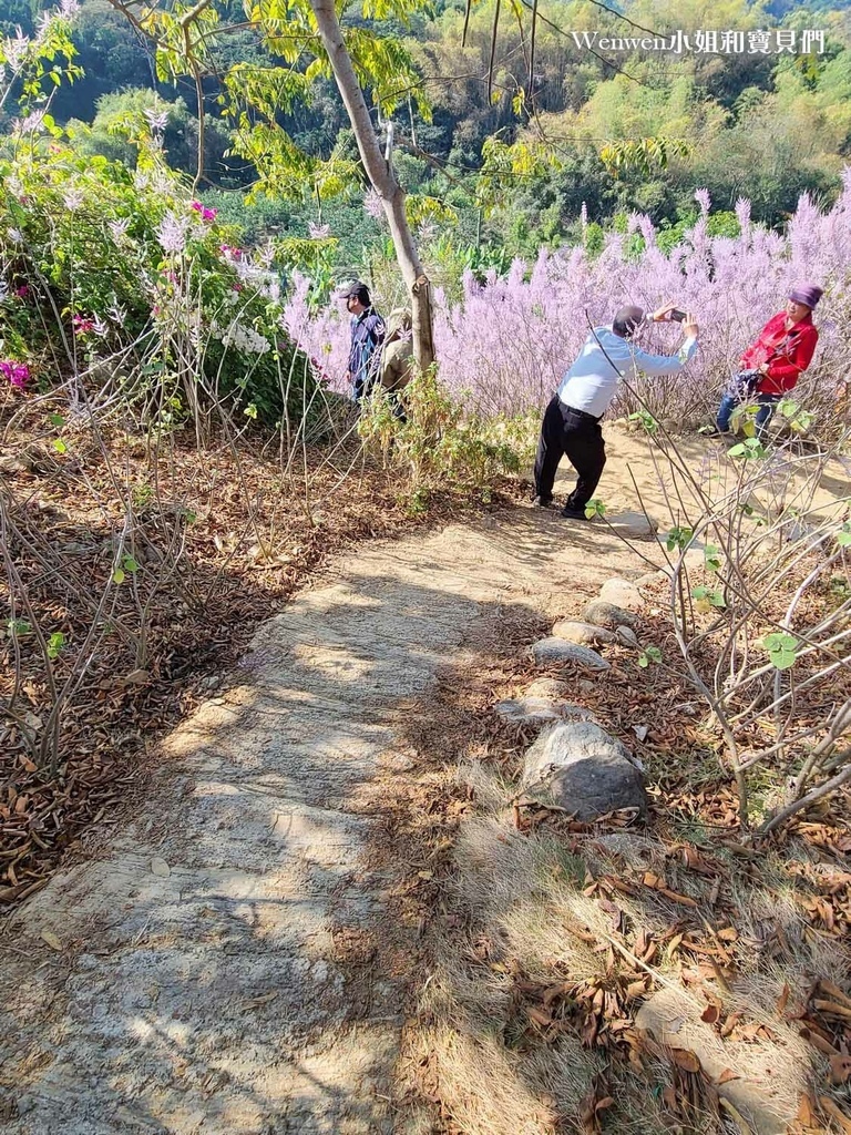 2023麝香木新祕境南投中寮瑰蜜甜心玫瑰園 (16).jpg