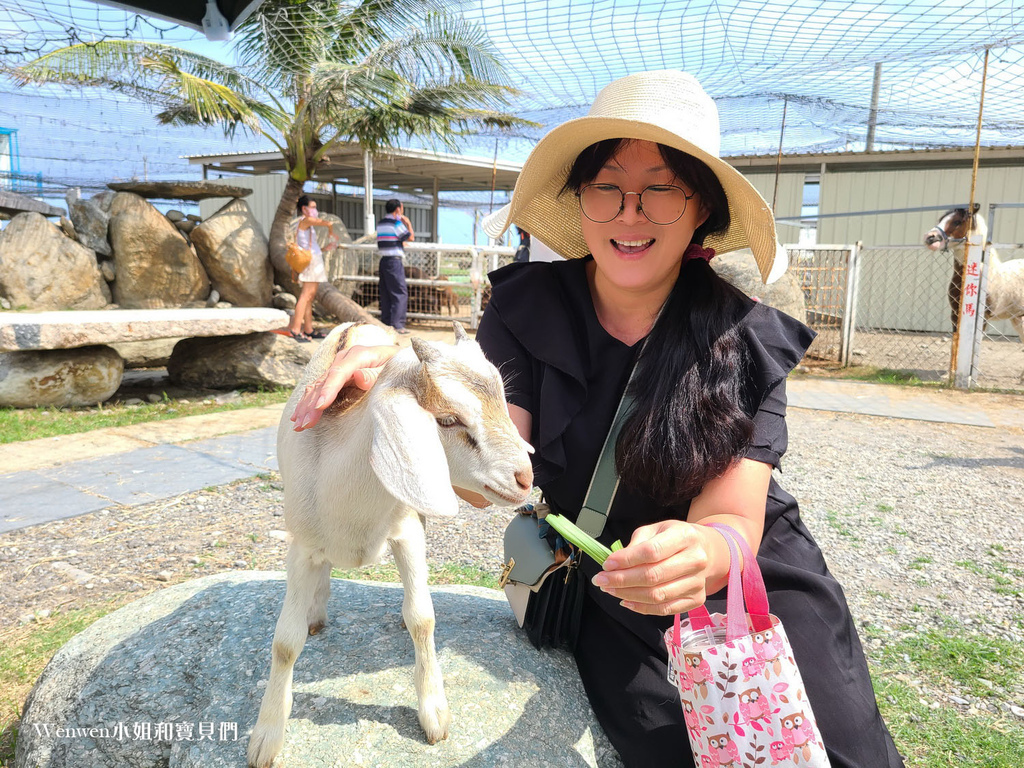 花蓮景點推薦 崇德瑩農場餵動物天空之鏡 (9).jpg