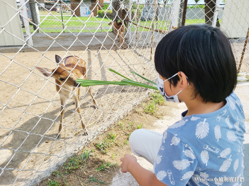 花蓮景點推薦 崇德瑩農場餵動物天空之鏡 (11).jpg