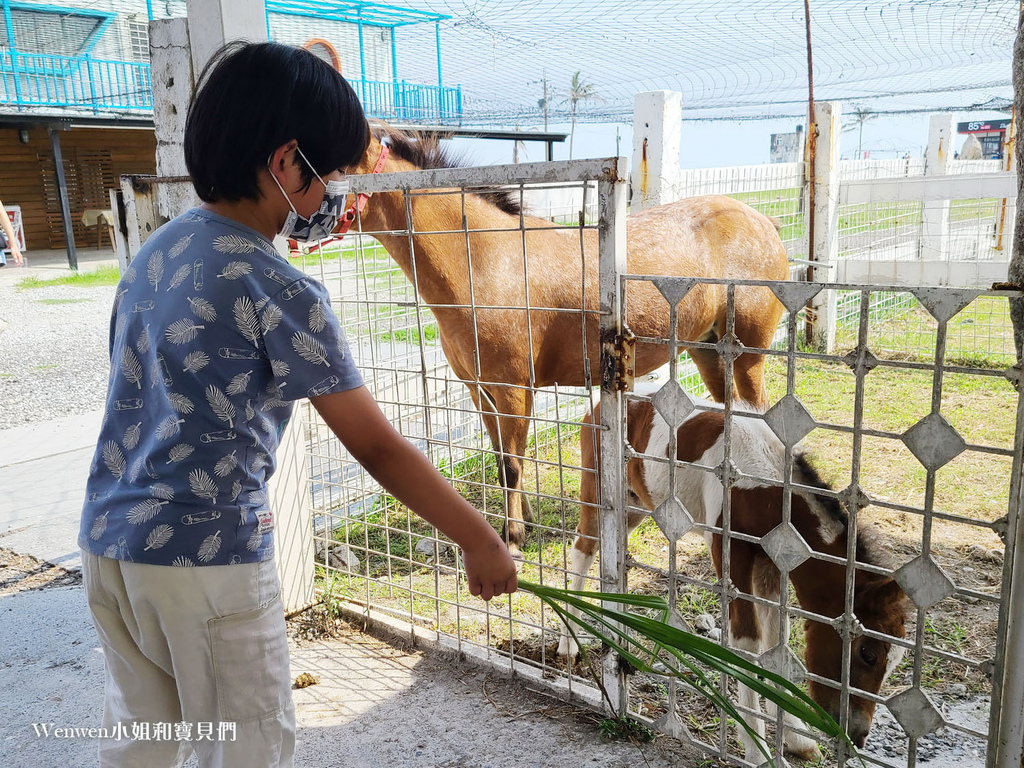 花蓮景點推薦 崇德瑩農場餵動物天空之鏡 (6).jpg