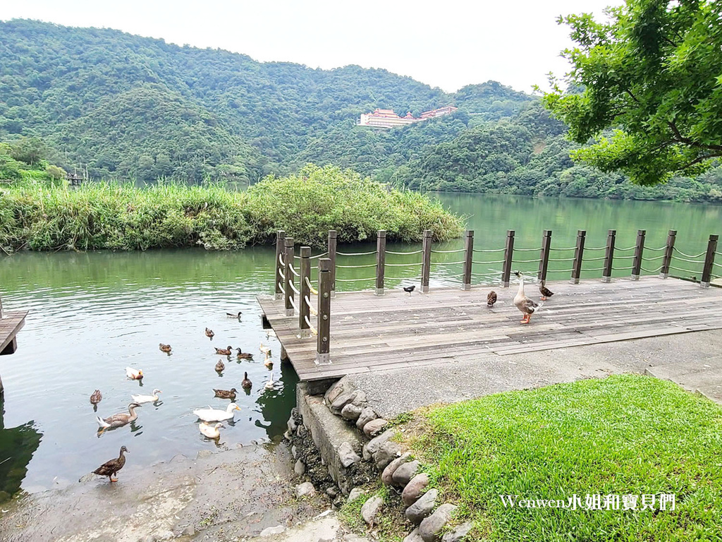 宜蘭梅花湖餵鴨子餵魚 (4).jpg