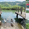 宜蘭梅花湖騎腳踏車環湖 搭船遊湖 餵鴨子餵魚 (1).jpg