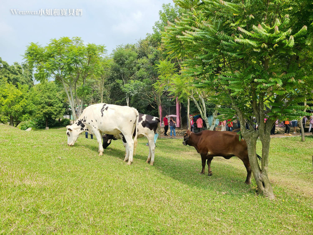 苗栗綠意山莊動物 (2).jpg