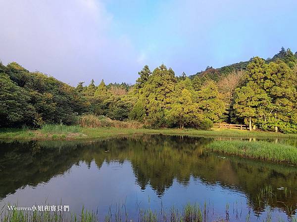 陽明山景點冷水坑遊客中心 冷水坑落羽松 冷水坑步道生態池 菁山吊橋 (11).jpg