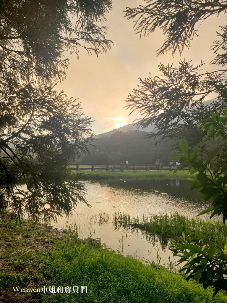 陽明山景點冷水坑遊客中心 冷水坑落羽松 冷水坑步道生態池 菁山吊橋 (13).jpg