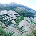 陽明山景點冷水坑停車場對面 七星山登山口 (2).jpg