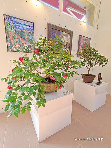 2024.01 陽明山景點 台北茶花展 台北花卉試驗中心 (6).jpg