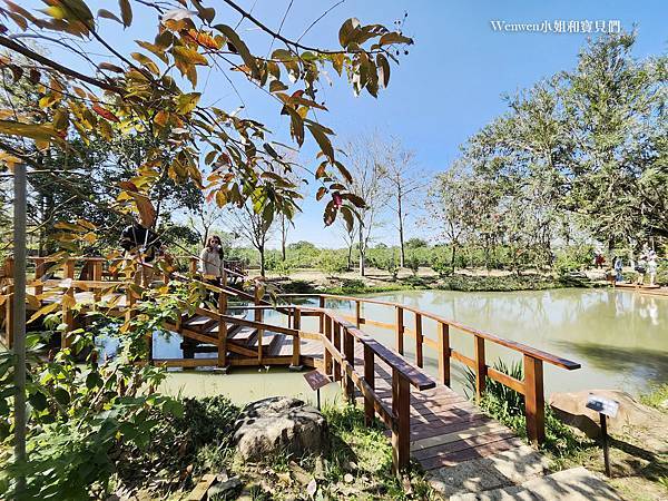 台南新景點雅聞湖濱療癒森林 (10).jpg