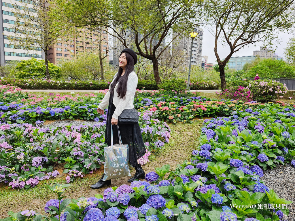 2024台北杜鵑花季大安森林公園繡球花2024 (13).jpg