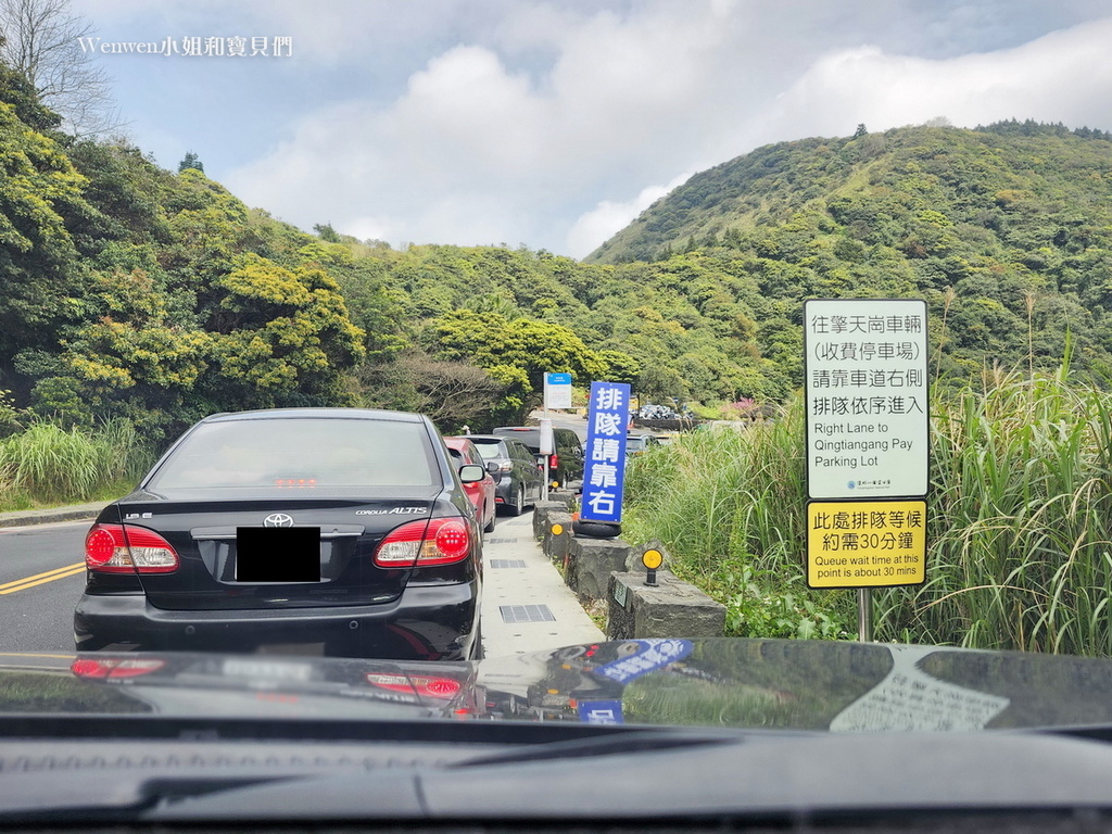 台北市陽明山景點擎天崗大草原 (4).jpg