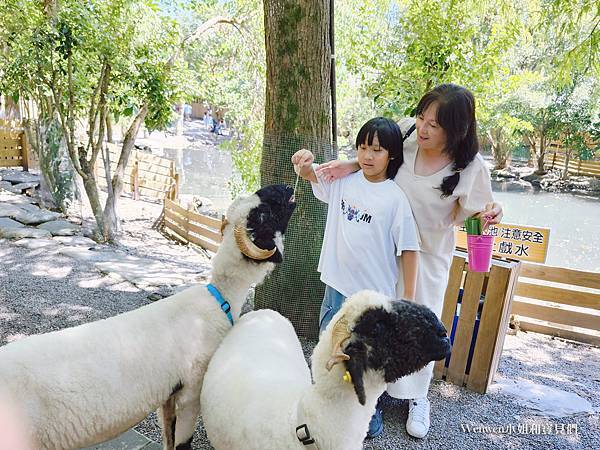 宜蘭新景點水岸森林物語動物園區 (28).jpg