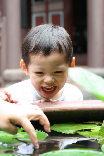 2010.11.20 親子遊  林家花園 (林本源園邸)