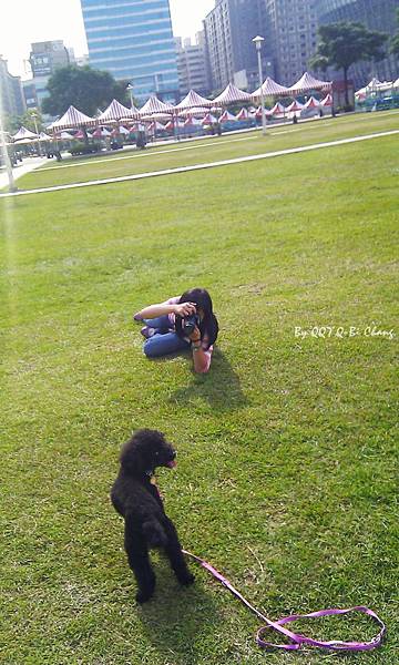 IMAG0362 IMAG0362