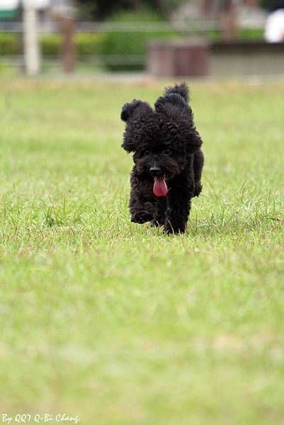 IMG_1155 IMG_1155