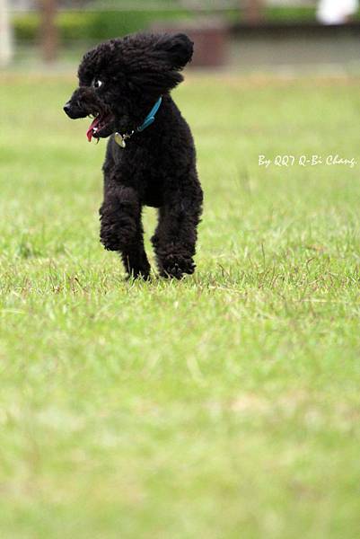 IMG_1156 IMG_1156