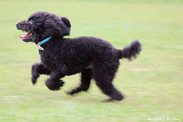 IMG_1038 IMG_1038