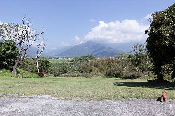 走訪 台灣寵物友善住宿 台東池上玉蟾園民宿 您好 我們是張家猋 痞客邦