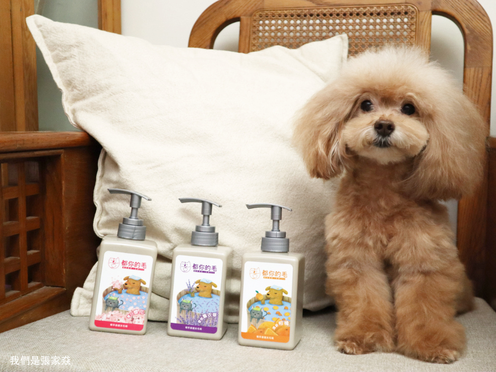 都你的毛植萃修護洗毛精11.jpg