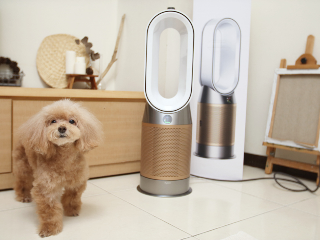 Dyson Purifier Hot+Cool™ Formaldehyde 三合一甲醛偵測涼暖空氣清淨機 HP09 (白金色)12