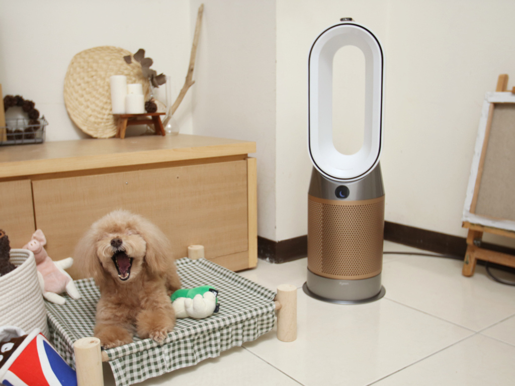 Dyson Purifier Hot+Cool™ Formaldehyde 三合一甲醛偵測涼暖空氣清淨機 HP09 (白金色)17