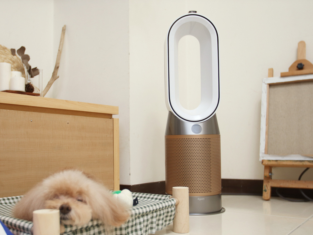 Dyson Purifier Hot+Cool™ Formaldehyde 三合一甲醛偵測涼暖空氣清淨機 HP09 (白金色)18