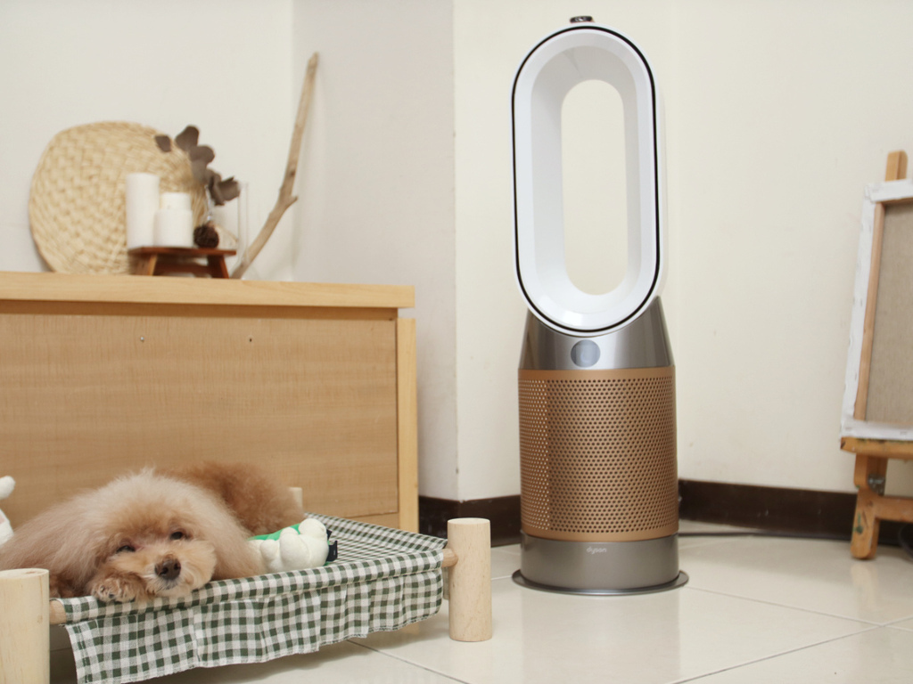 Dyson Purifier Hot+Cool™ Formaldehyde 三合一甲醛偵測涼暖空氣清淨機 HP09 (白金色)19