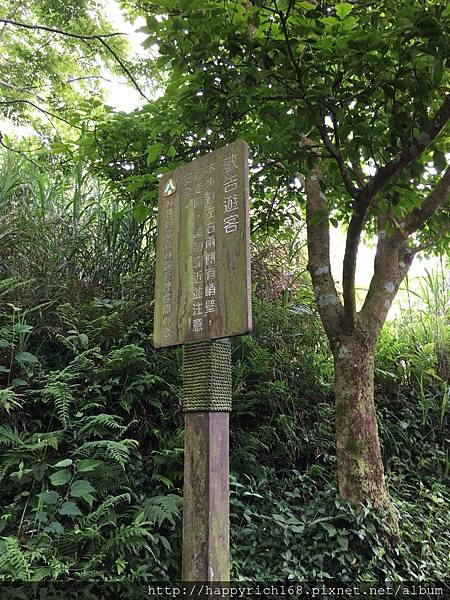 台南登山好去處-關子嶺大凍山登山健行步道Guanzihlin