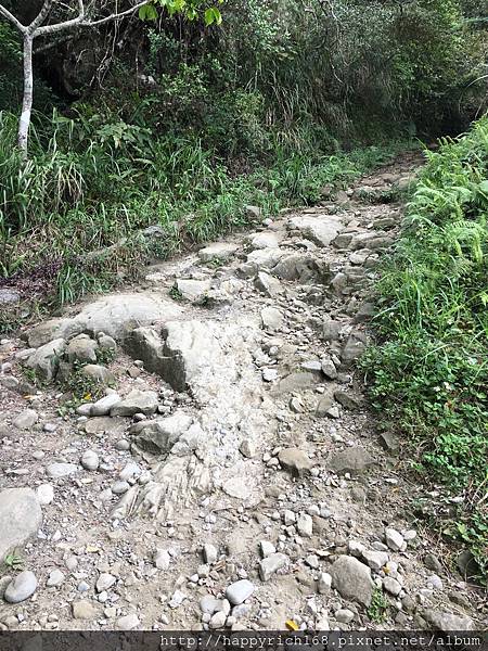 台南登山好去處-關子嶺大凍山登山健行步道Guanzihlin