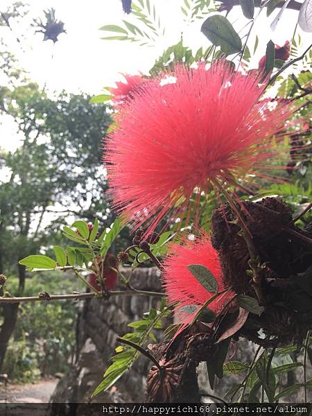 台南登山好去處-關子嶺大凍山登山健行步道Guanzihlin