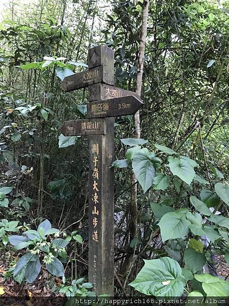 台南登山踏青健行好去處-關子嶺雞籠山登山步道 （Jilong