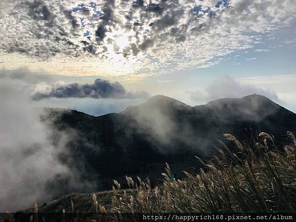 大屯山芒草季_191127_0012.jpg