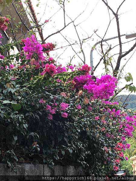 S__37888060.jpg S__37888060.jpg