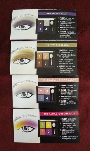 2011秋冬限量 Loreal Project Runway Colors Take Flight Collection DM 17