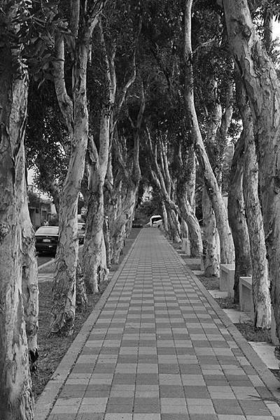 11014880_10152944562058434_5944676282009401_n[2]