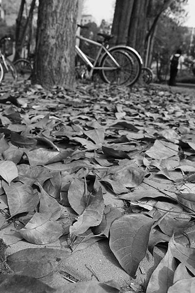 10985862_10152947677868434_4857861209947214296_n[1]