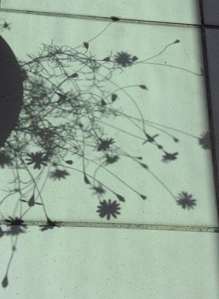 11115599_10152892904388434_6831127389974056251_n